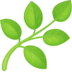 :herb: :herb: