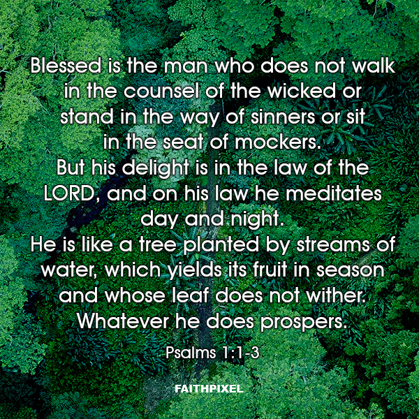 Blessed is the man who does not walk in the counsel of the wicked