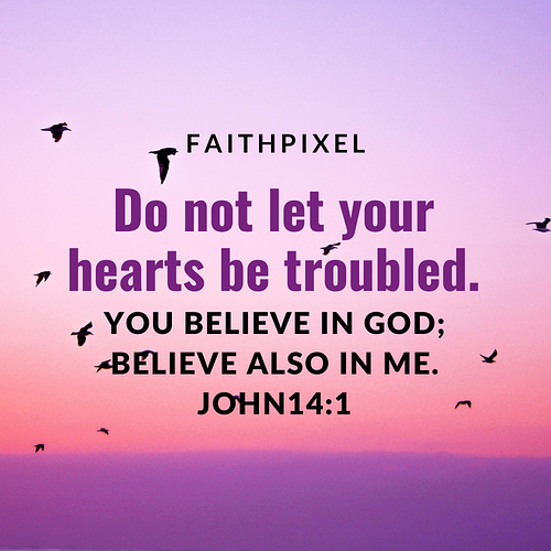 Do not let your hearts be troubled.