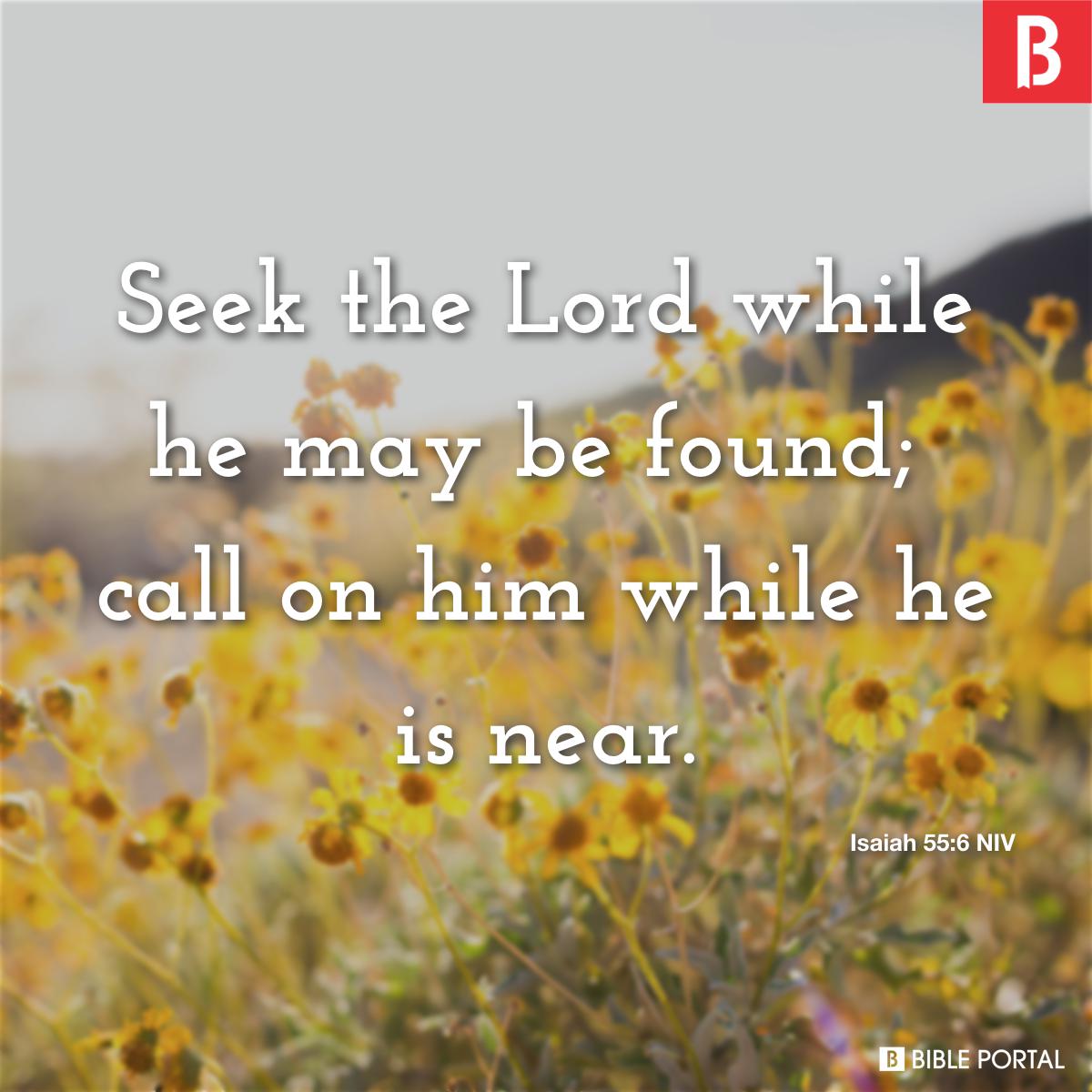 isaiah556-seek-the-lord-while-he-may-be-found-call-on-him-while-he-is-ne-NIV-96063-3