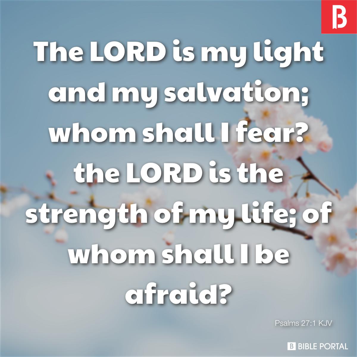 psalm271-the-lord-is-my-light-and-my-salvation-whom-shall-i-fear-the-lord-i-KJV-4007-0