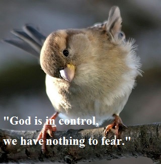 God's in control