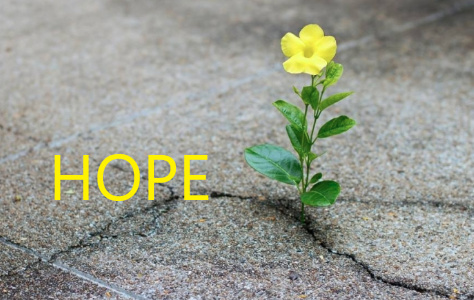 hope1